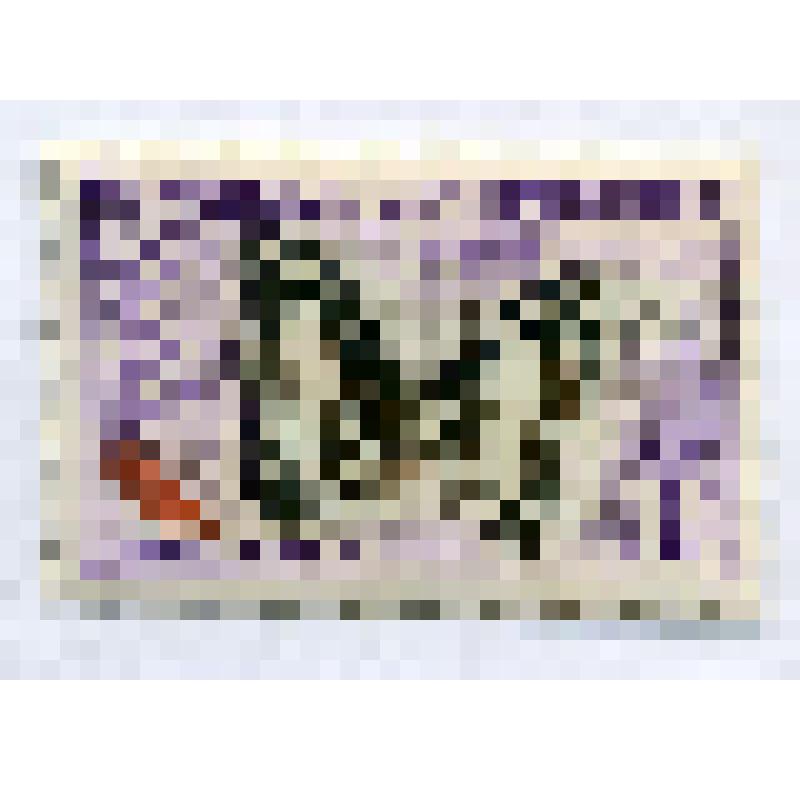 Марка почтовая. Бабочка Charaxes nobilis. 1 франк