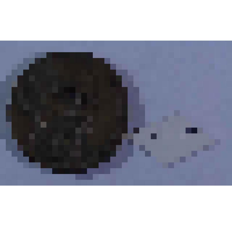 ЮБИЛЕЙНАЯ МЕДАЛЬ. НЕКРАСОВ НИКОЛАЙ АЛЕКСЕЕВИЧ (1821-1898)