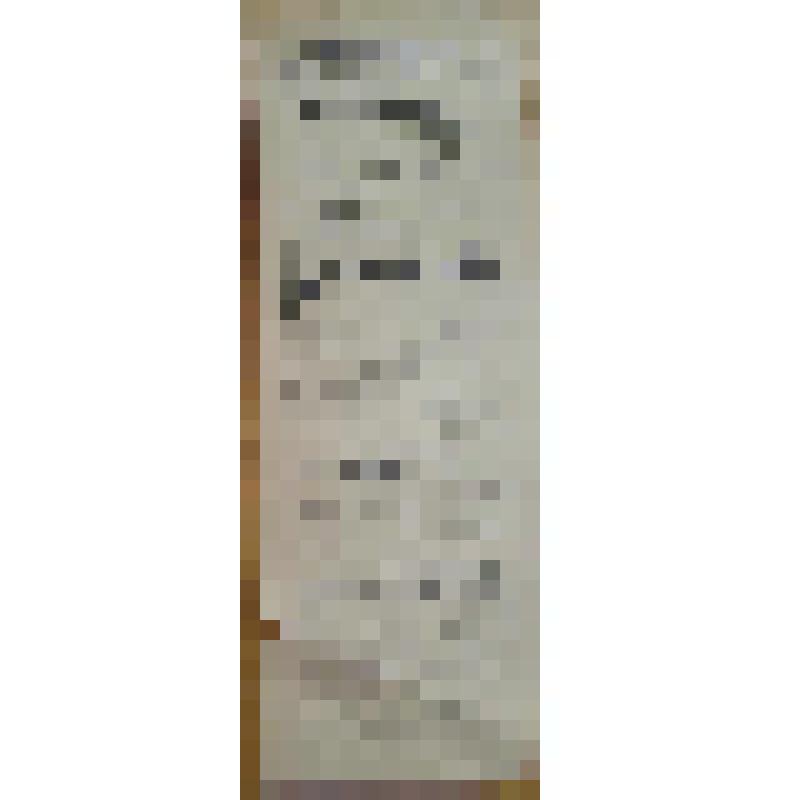 Программа сводная с исполнителями. "Вишневый сад" (Режиссёр - Д.В. Пальмин.). Архангельск, Городской театр; Антреприза, Труппа русских драматических артистов под управлением Е.М. Долина