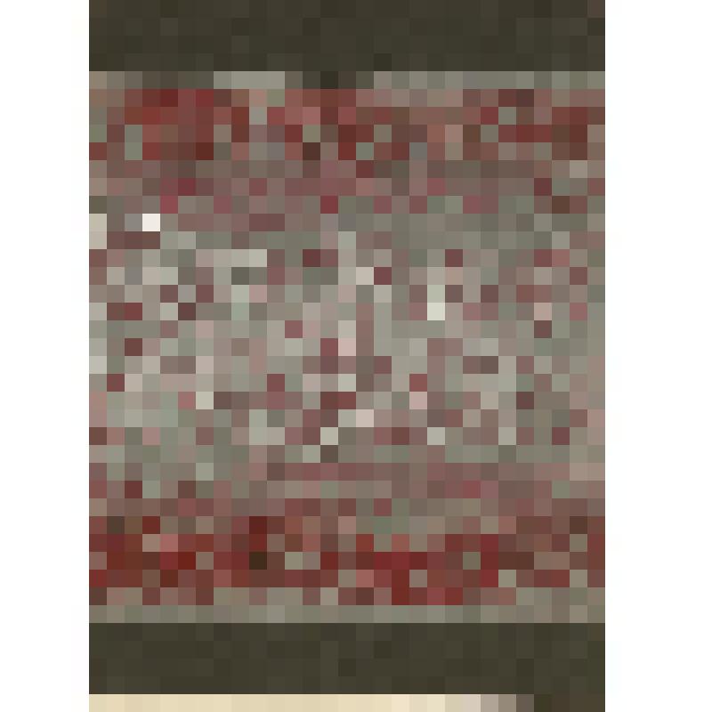 Зарисовка орнамента. Из альбома "Орнамент русской женской народной одежды. Женская одежда Русского Севера. Отдельные предметы одежды и детали орнамента". Часть 2