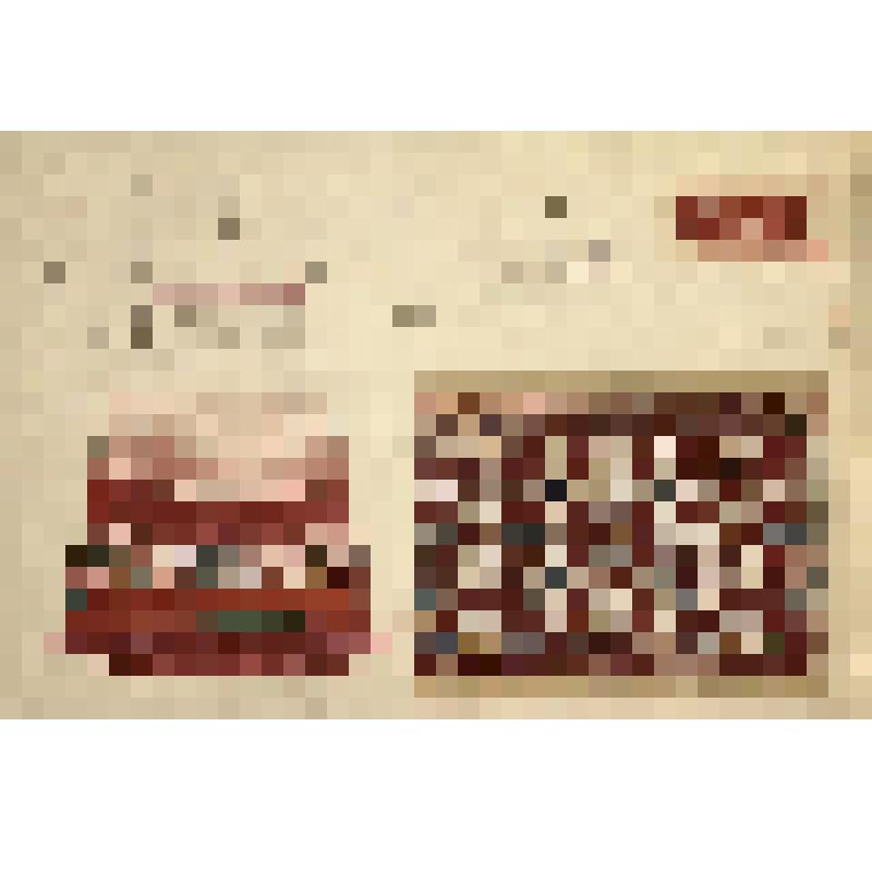 Зарисовки передника и фрагментов вышивки. Из альбома "Орнамент русской народной женской одежды. Женская одежда средне-русской полосы. Отдельные предметы одежды и детали орнамента. Часть III."