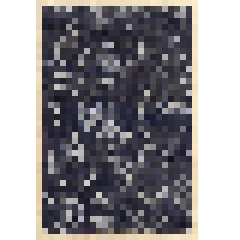 Зарисовка образца кубовой набойки по холсту. Из альбома "Сбор материала по народным художественным промыслам в г. Вологде и Тотьме. Ткачество и набойка"