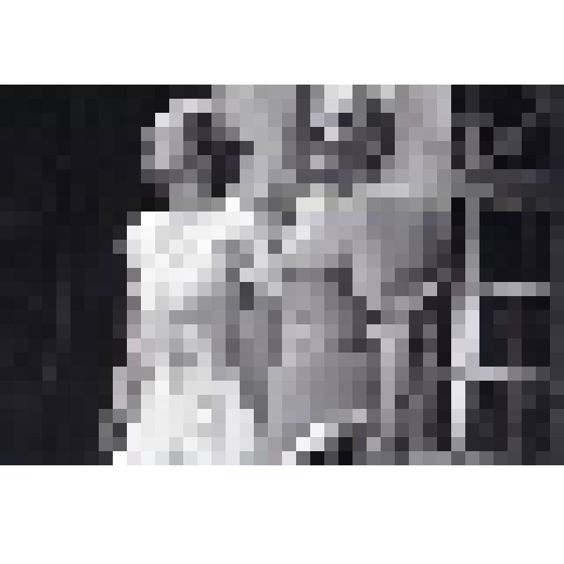 Негатив черно-белый. Ирина - Медведева П.В.;  Ольга - Барнет О.Б. "Три сестры" (1997 - 2003)