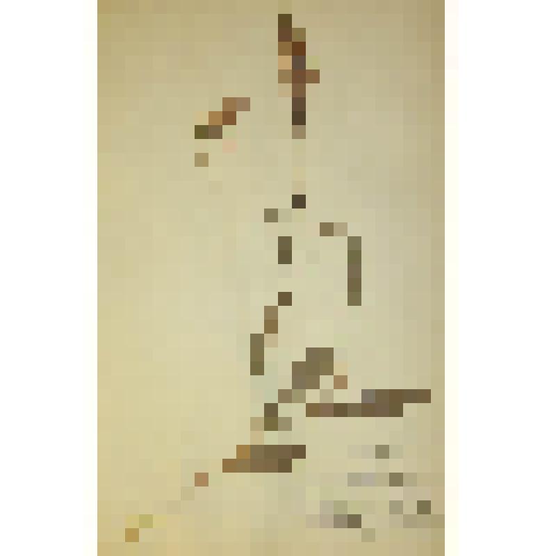 Пальчатокоренник пятнистый Dactylorhiza maculata Verm