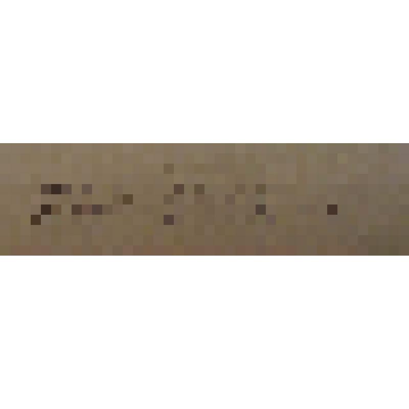 Пальчатокоренник пятнистый Dactylorhiza maculata Verm