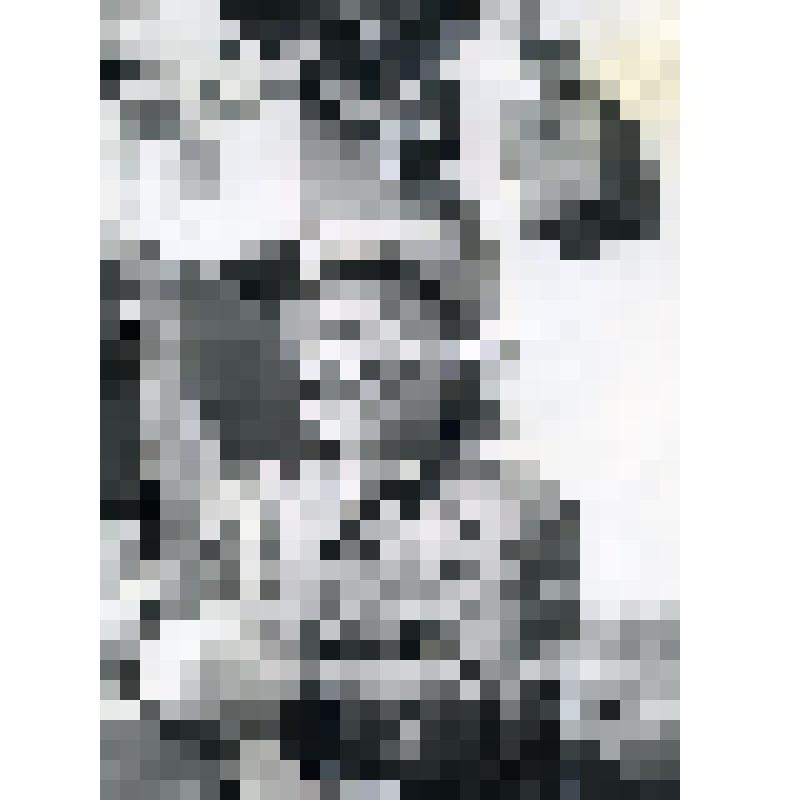 Фото. Докер-механизатор И.А. Татаринов