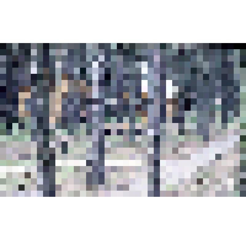 негатив. Вытоптанный лес