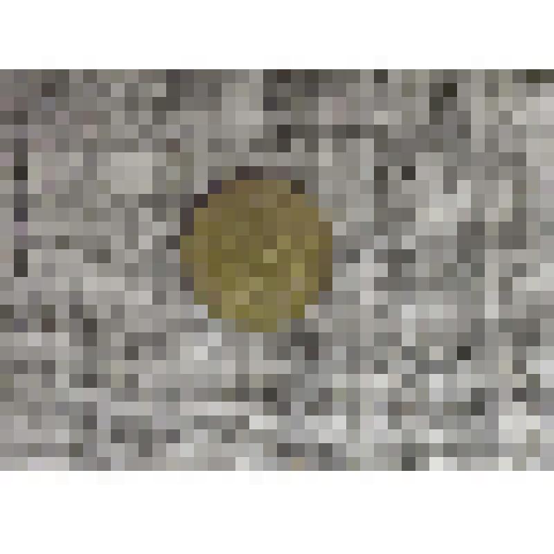 Монета. Две копейки