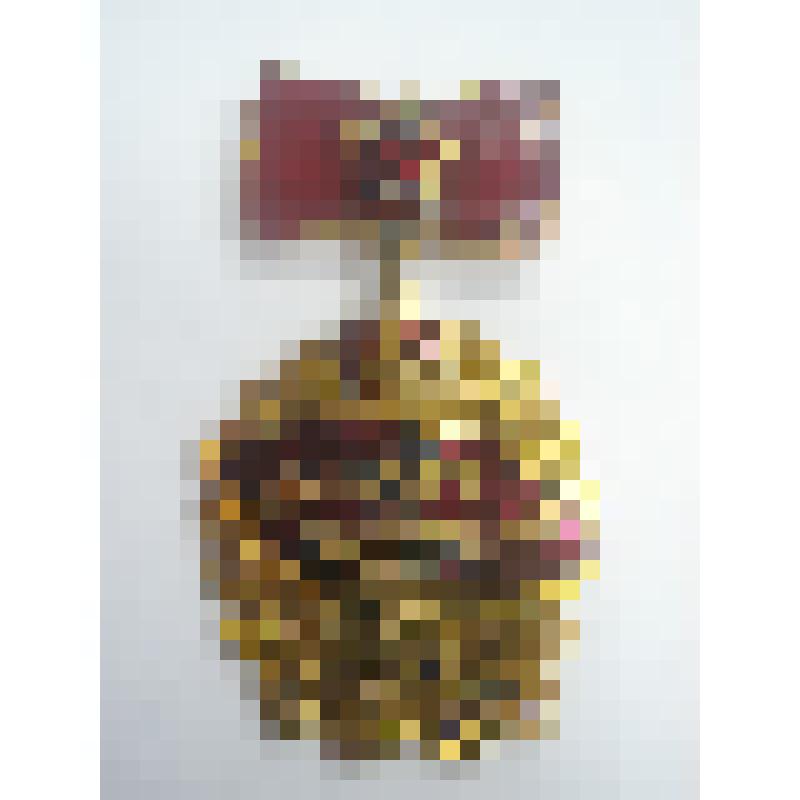 Знак "Победитель социалистического соревнования 1975 года"