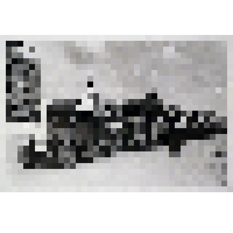 Фото. Первомайская демонстрация в г.Кургане. Идет колонна работников трикотажной фабрики