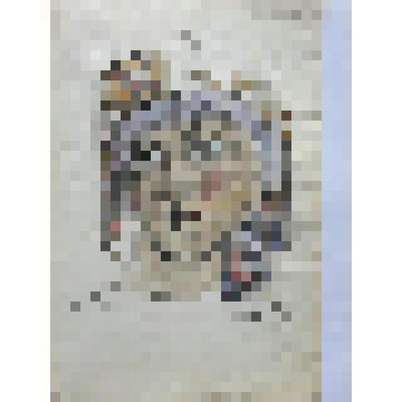 Альбом с проектными чертежами, с эскизами, зарисовками архитектурных памятников и деталей, произведений скульптуры и декоративно-прикладного искусства, пейзажными зарисовками, тематическими рисунками исторического жанра и по мотивам воспоминаний детства и