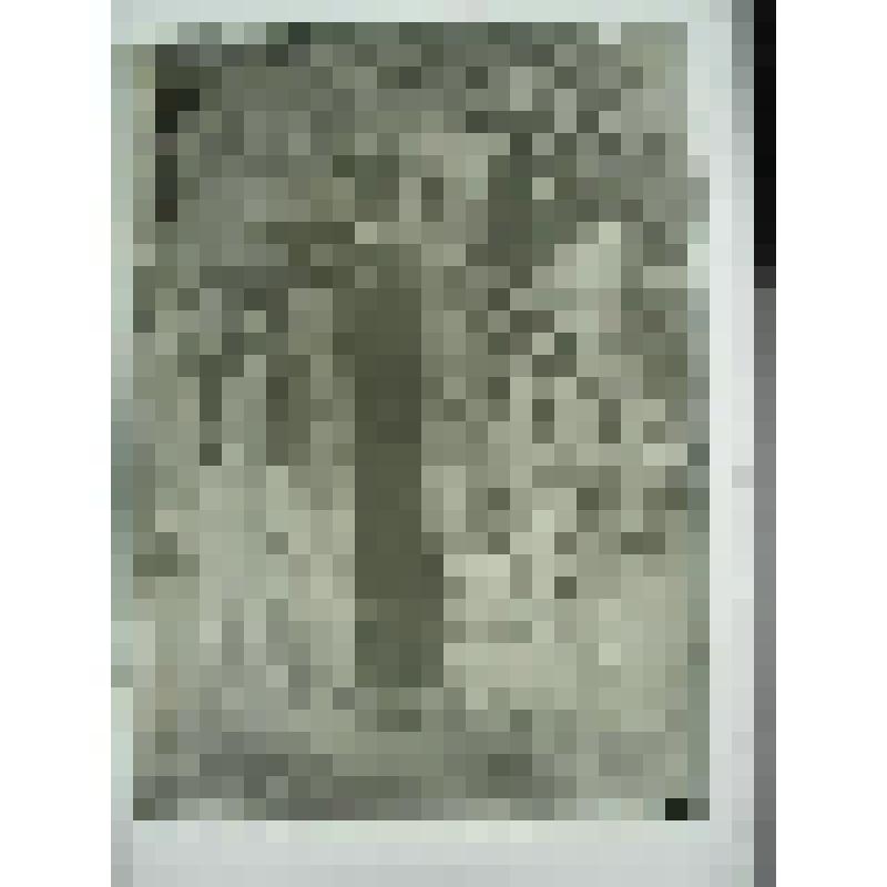 Донской монастырь. Донская пл.,1. XVI-XIX вв. г. Москва. Донской монастырь. Надгробие А.Г.Мамуровского. Общий вид