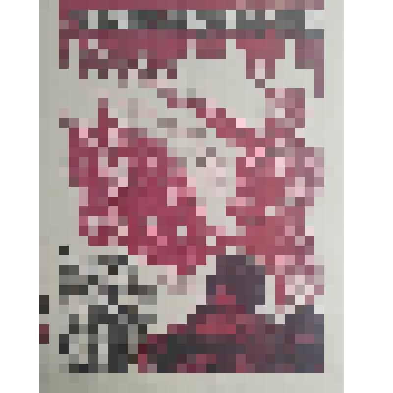 плакат. Фильм: Колокол священной кузни. 1982