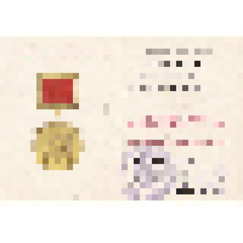 Удостоверение Евпатовой Валентины Васильевны о награждении ее юбилейной медалью "За добросовестный труд. В ознаменование 100-летия со дня рождения В.И. Ленина"