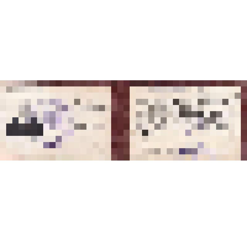 Удостоверение № 2 Абельдяева Василия Семеновича