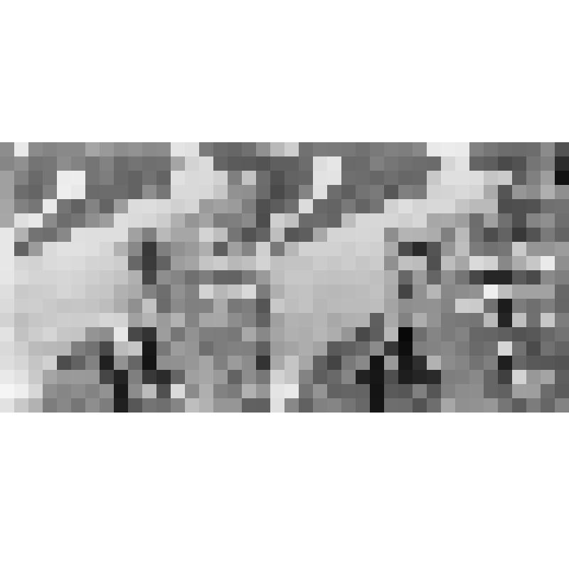 Негатив на стекле: Стереоскопический снимок. Вид берега Енисея от Минусинска до Красноярска (частью выше Минусинска) без точного обозначения места и времени съемки