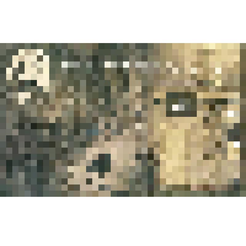 Открытка почтовая "08. Москва. Дом на Никитском бульваре. Зал "Воплощений". Иллюстрация В.Е. Маковского к повести "Вечер накануне Ивана Купала". Коллаж." Из комплекта "Дом Н.В. Гоголя - мемориальный музей и научная библиотека" с фотографией на обложке в з