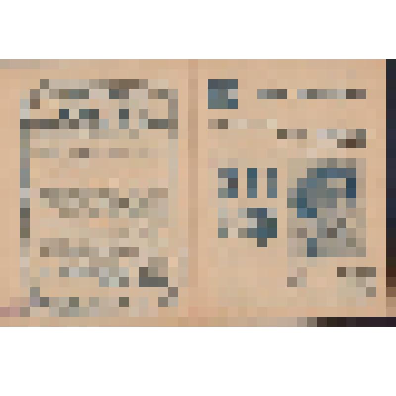 Программа. "Дети солнца" (Режиссёр - Васильев П.П. Художник - Сережин С.С.). Куйбышев, Драматический театр им. М. Горького