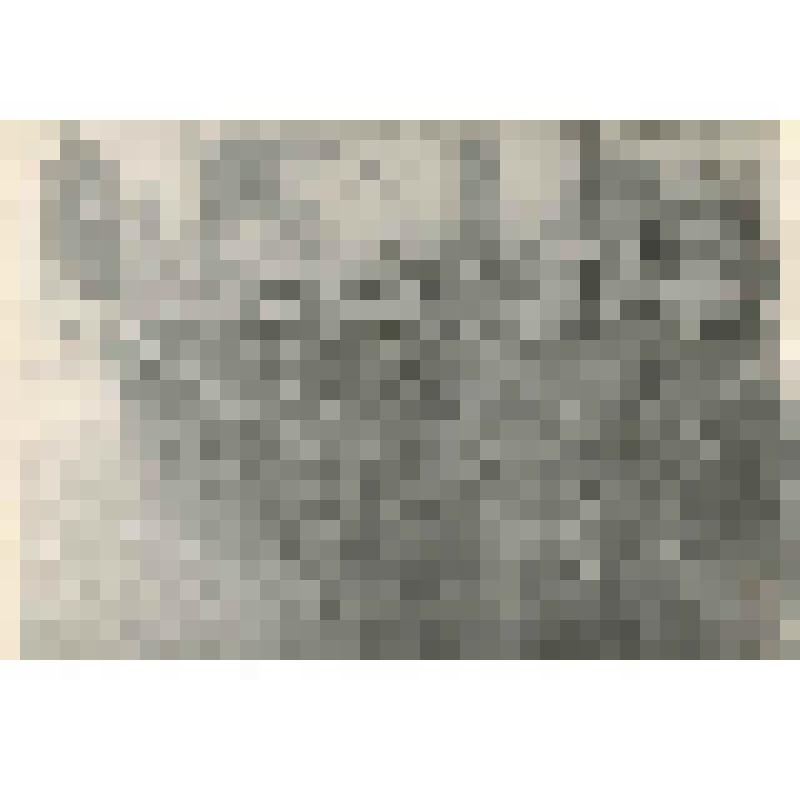 Фотокопия фотографии из газеты. Интернационалисты на построении. Первый - Цаплин Павел Алексеевич, Герой Советского Союза, командир танковой роты