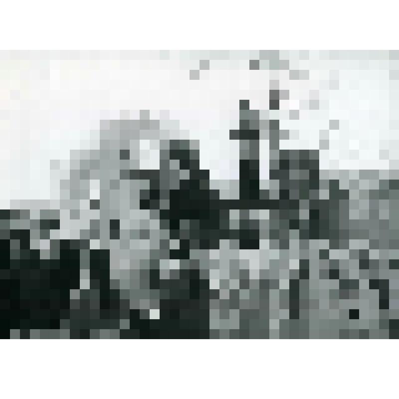 Фотография. Праздник детства