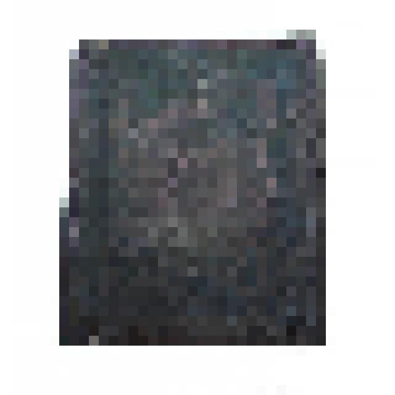 Клише рисунка почтовой марки из серии «300-летие династии Романовых» (50 коп.)