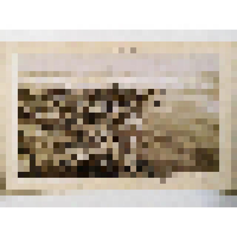 г. Киев. Вид Подола и набережной Днепра. из альбома. Издатель не указан