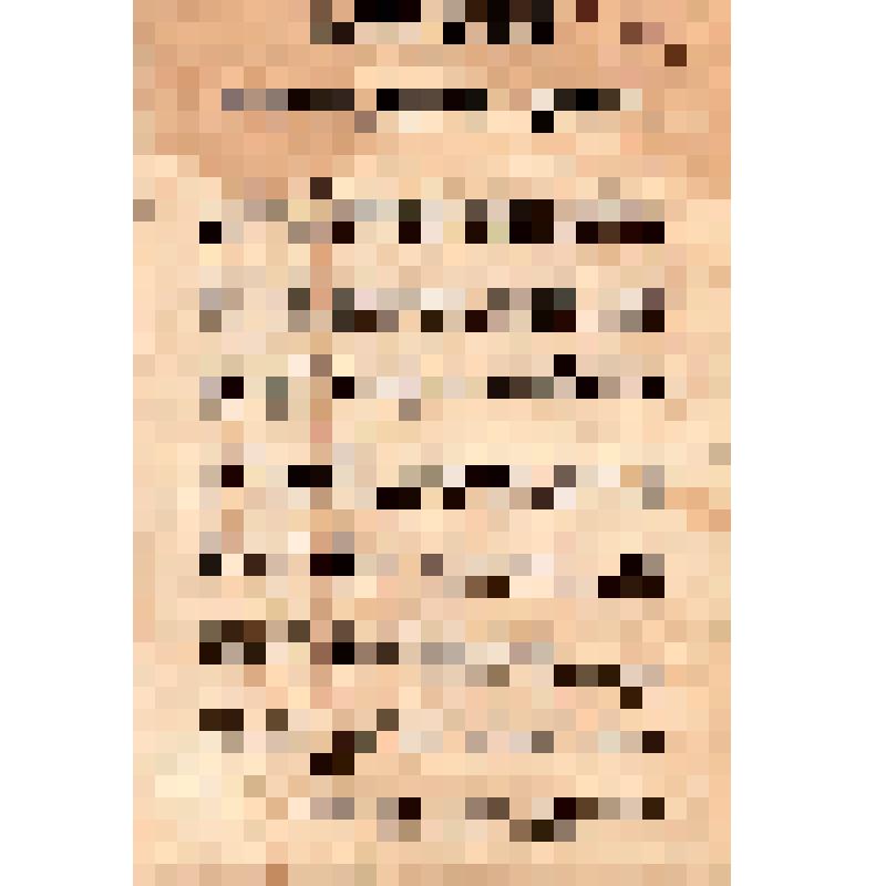 Совет рабочих и солдатских депутатов Литейного района. Воззвание К учителям, студентам и курсисткам