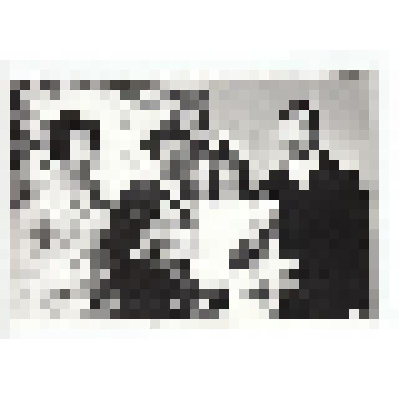 Ф/чб. Свадебный портрет молодоженов Гавриловых Г.Д. и И.Н. со свидетелями (однокурсниками по ЭХМТ). Энгельсский ЗАГС. 18.1.1975 г