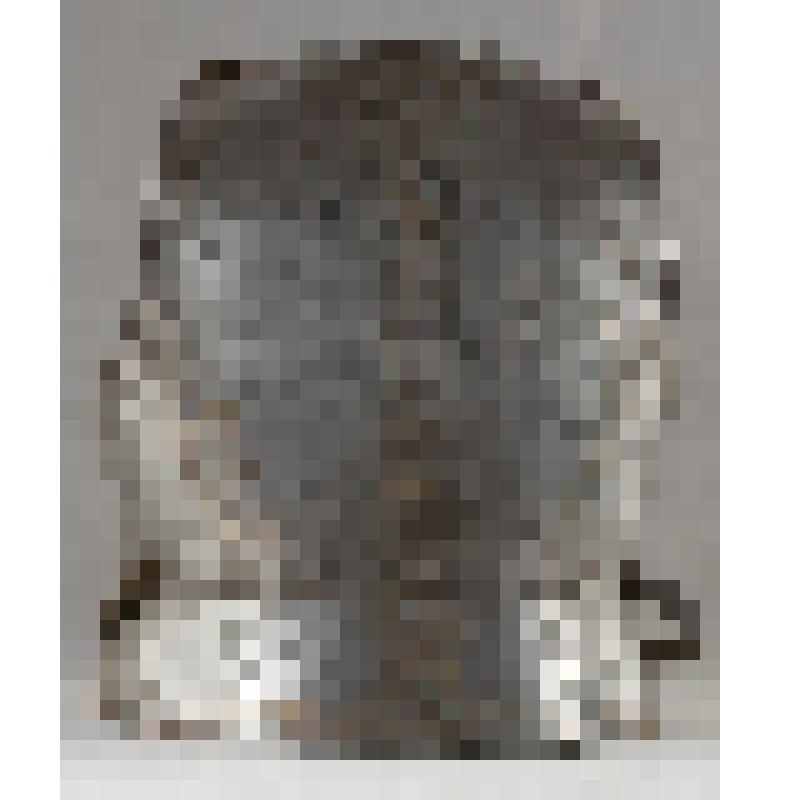 Латы (спина)