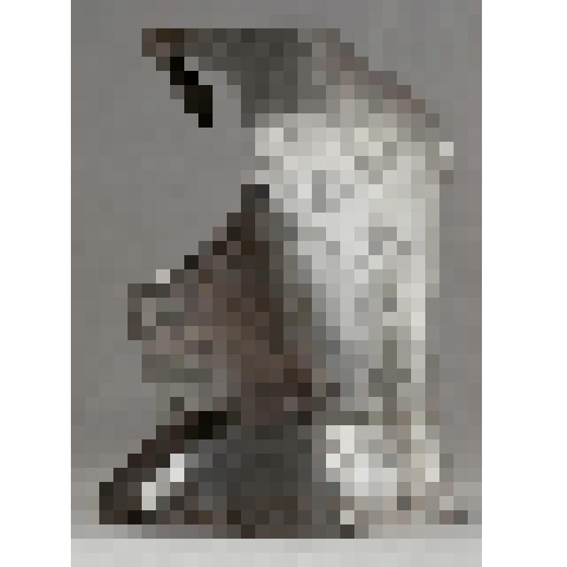 Латы (спина)