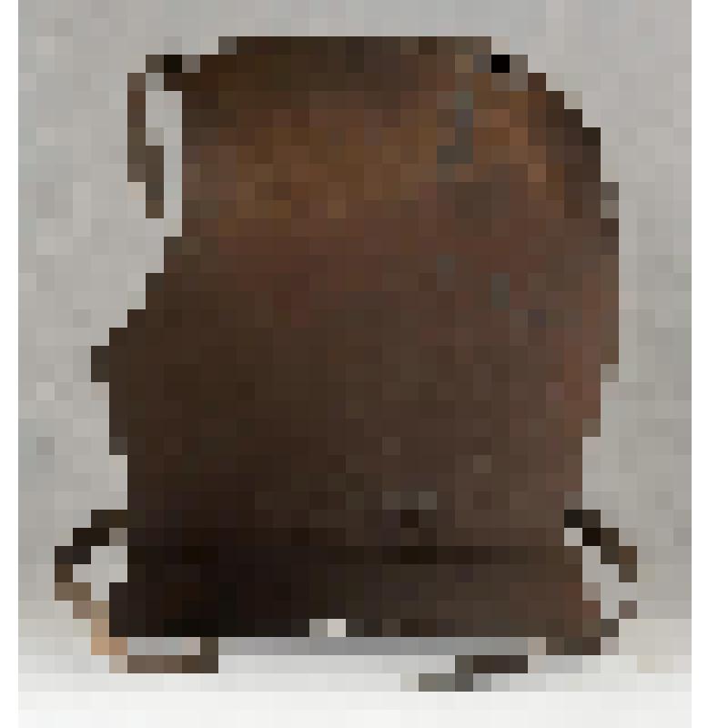 Латы (спина)