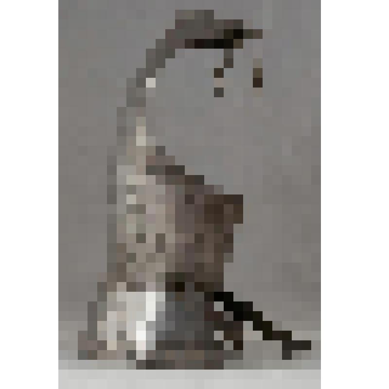 Латы (спина)