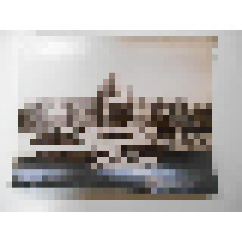 Музей истории искусств. 1891 г. Австрия, г. Вена. Музей истории искусств. 1891 г. Земпер Готфрид; фон Хазенауэр Карл. Общ. вид. A. Wimmer