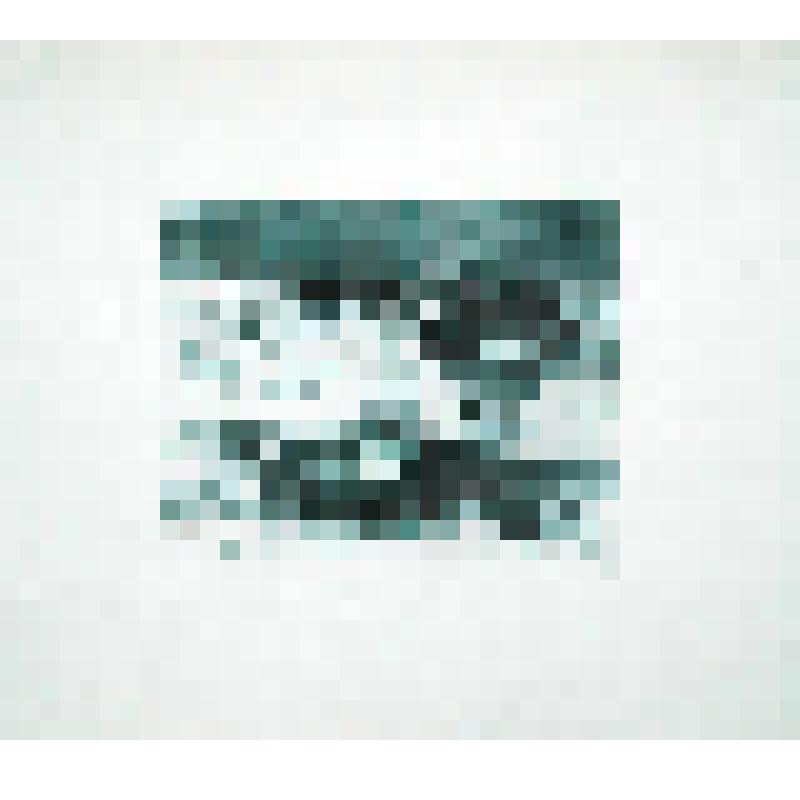 Летний день