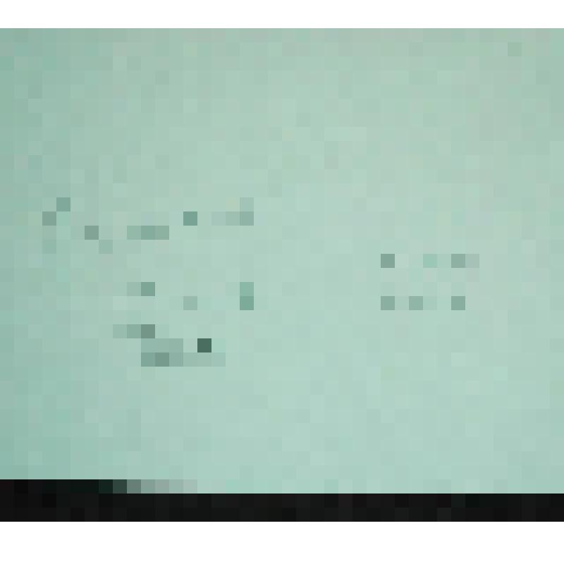 Летний день