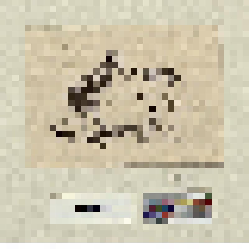 Человек опираясь своими руками о колени наклонился к собаке нос к носу