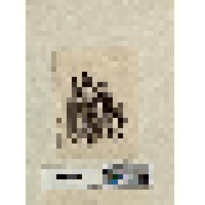 Мужчина, женщина и мальчуган стоят выжидая на лестничной площадке перед закрытой дверью