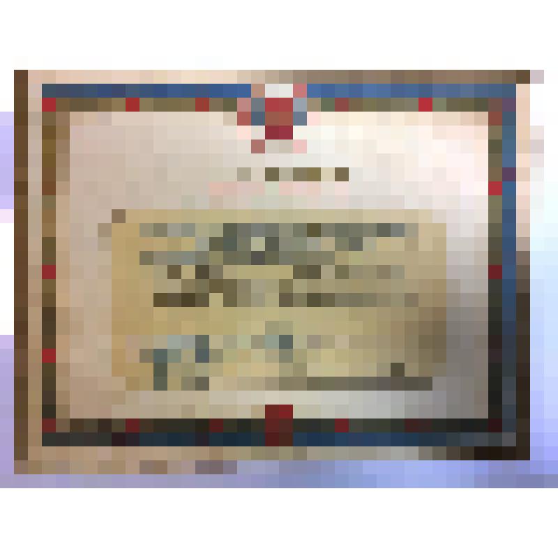 Диплом первой степени Комитета по делам физической культуры и спорта при СМ РСФСР Радченко В.П. за 1-е место в кроссе на первенство Урало-Поволжской зоны по мотоциклетному спорту 1952 года по классу машин до 750 см3. Москва 28 мая 1952 г. № 409