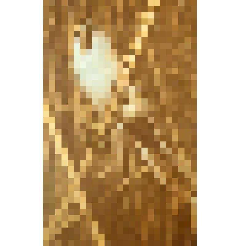 Синица усатая. Диапозитив цветной