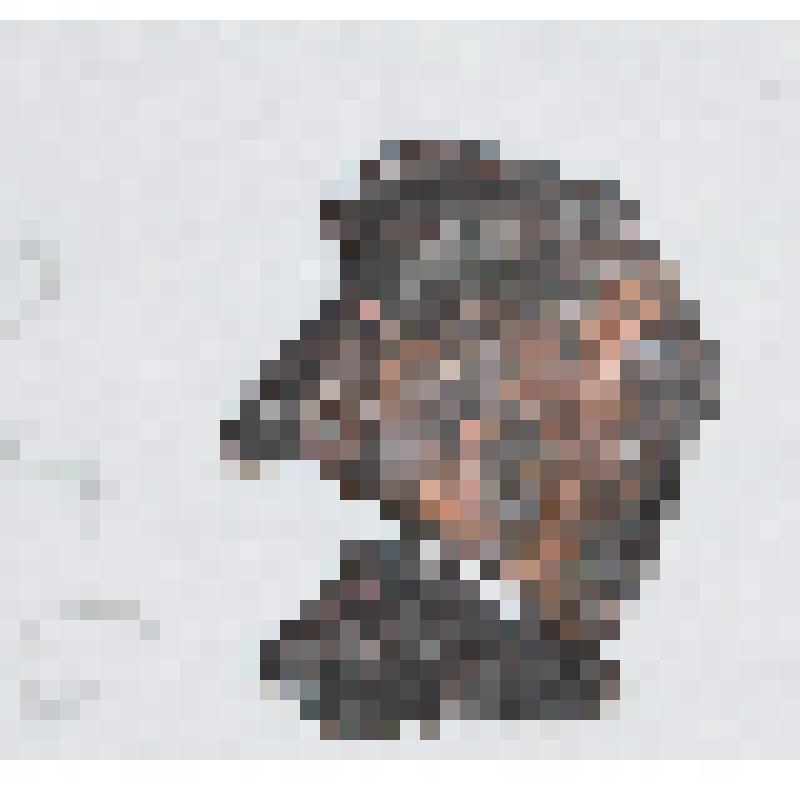 Монета. Монета (фрагменты). Фельс. Караханиды