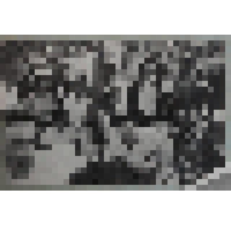 Фотография сюжетная. Островский Н.А. в саду с В.Инбер и членами литкружка при клубе "Профинтерн". Лето 1935г