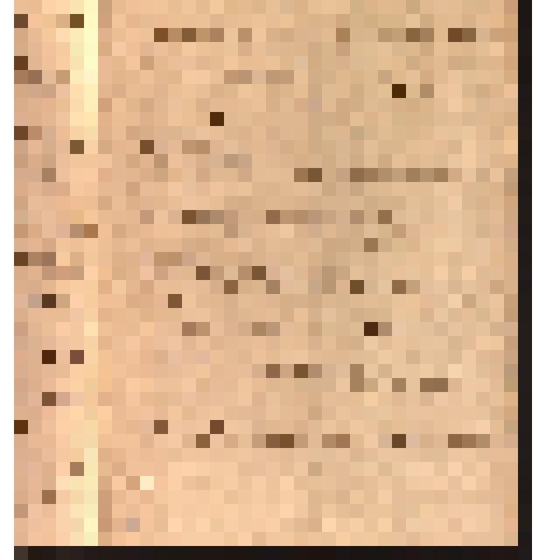 Прошение жительницы Черноисточинского завода крепостной Елены Санниковой от 17 января 1856 г. к Управляющему Нижнетагильскими заводами Павлу Николаевичу Шеленкову о возвращении сына Ермолая из рекрутов.
На 2-х листах