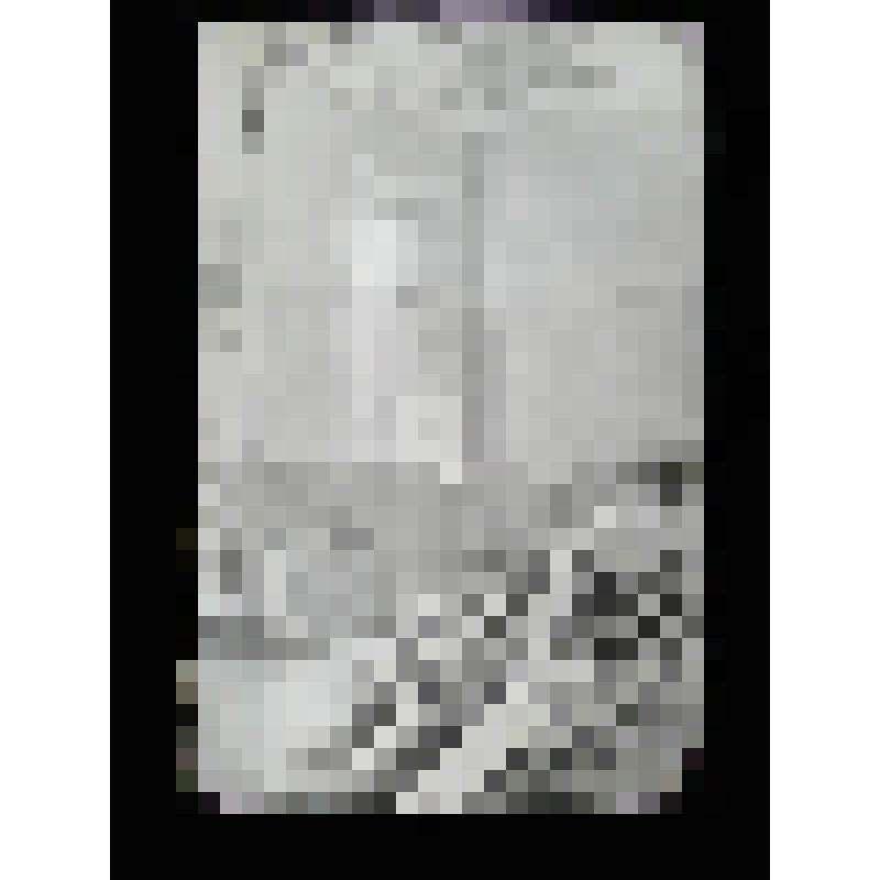 Усадьба П.Ф. Талызина (ГНИМА им. А.В.Щусева). Ул.Воздвиженка, 5/25. 1785-1787, интерьер 1820-е гг, перестройки XIX в. Москва. Дом Талызиных. Ул. Воздвиженка, 5. Вид внутренней части дома до реставрации