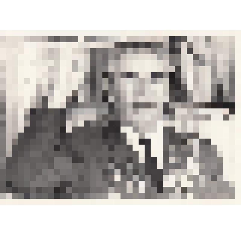 Фотография Шакирова Рахмана Фаизовича