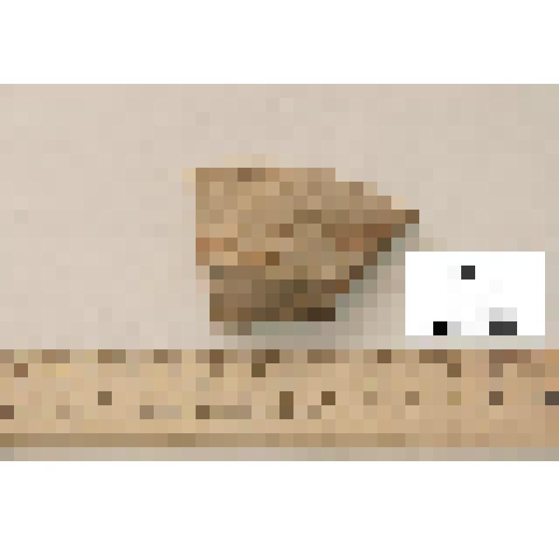 Фрагмент венчика амфоры