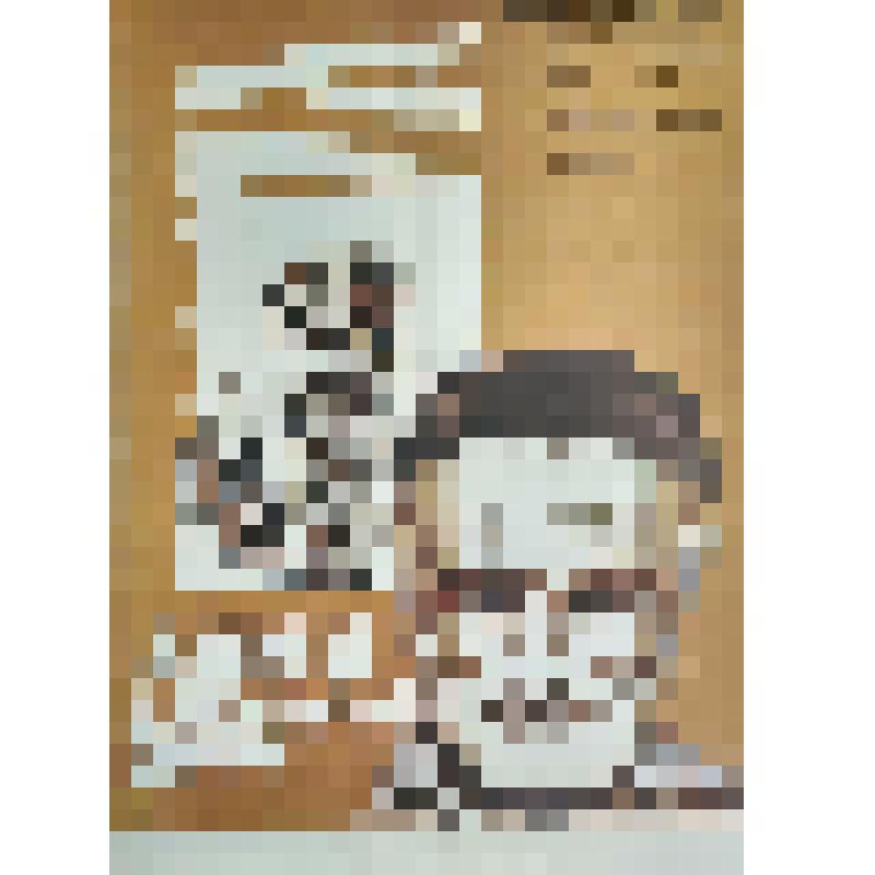 плакат. Фильм: Лома - забытый друг. 1982