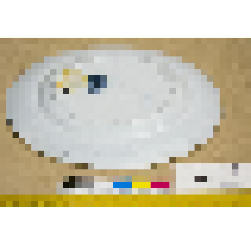 Тарелка мелкая обеденная фаянсовая, белая, со смешанным орнаментом синего цвета, из столового сервиза "Lima"