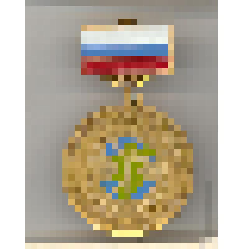 Знак "Отличник учебы НВИС", РФ