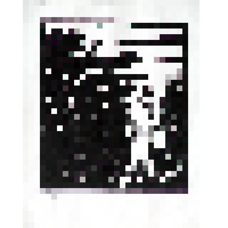 Иллюстрация к "Нарспи" К. Иванова. Нарспи и Сетнер