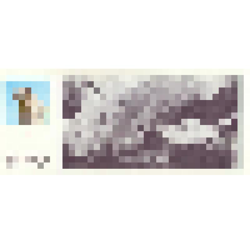 Комплект открыток по книге Л. И. Брежнева «Возрождение»